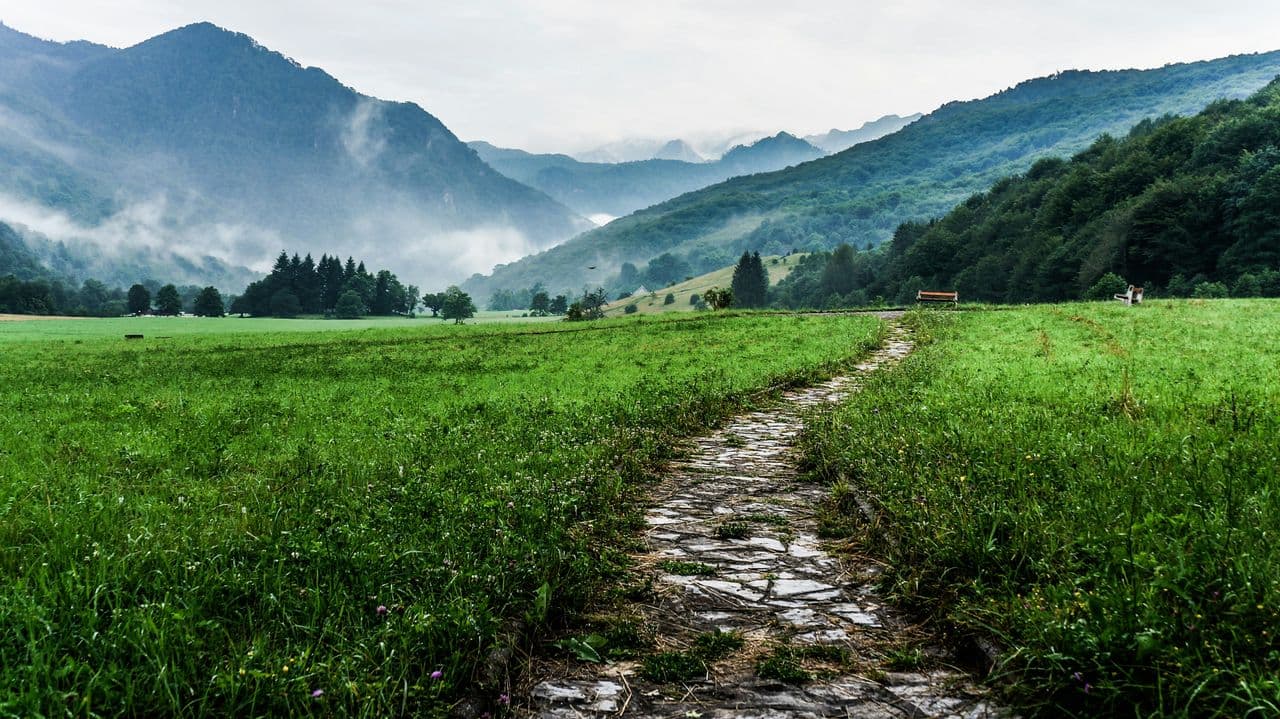 Green mountain valley meadow with a stone path meandering through