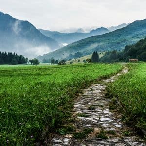 Green mountain valley meadow with a stone path meandering through